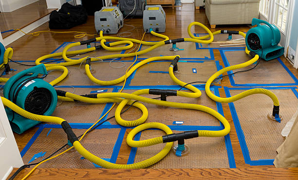 Professional Crawl Space Water Removal technician working in Cranford, NJ